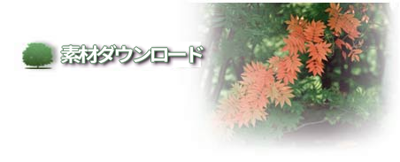 素材ダウンロード